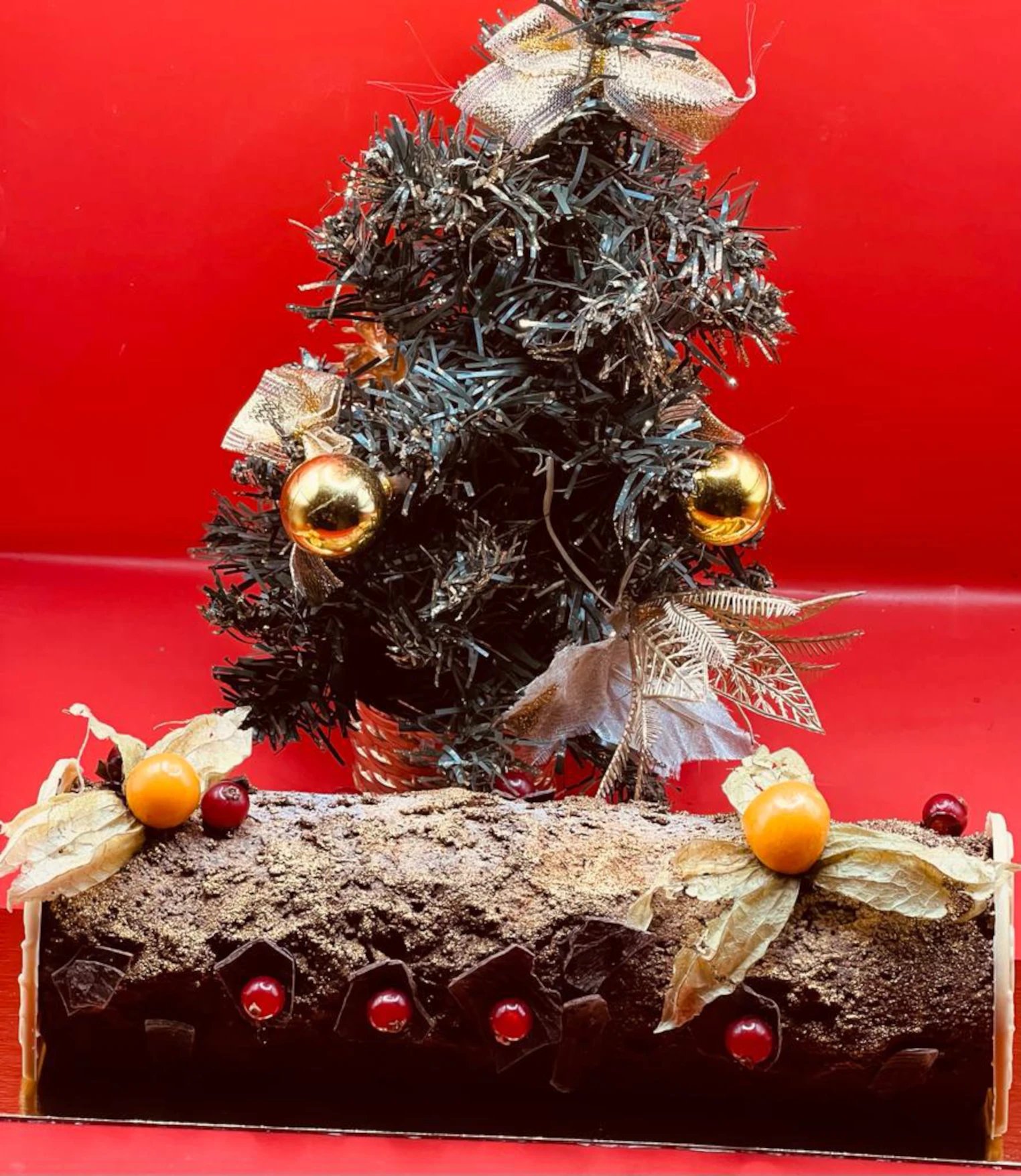 Bûche de Noël Garnache Yuzu