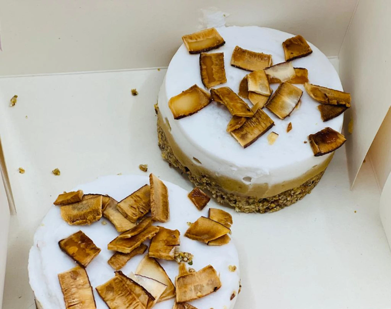 Cheese Cake (100% Vegan)