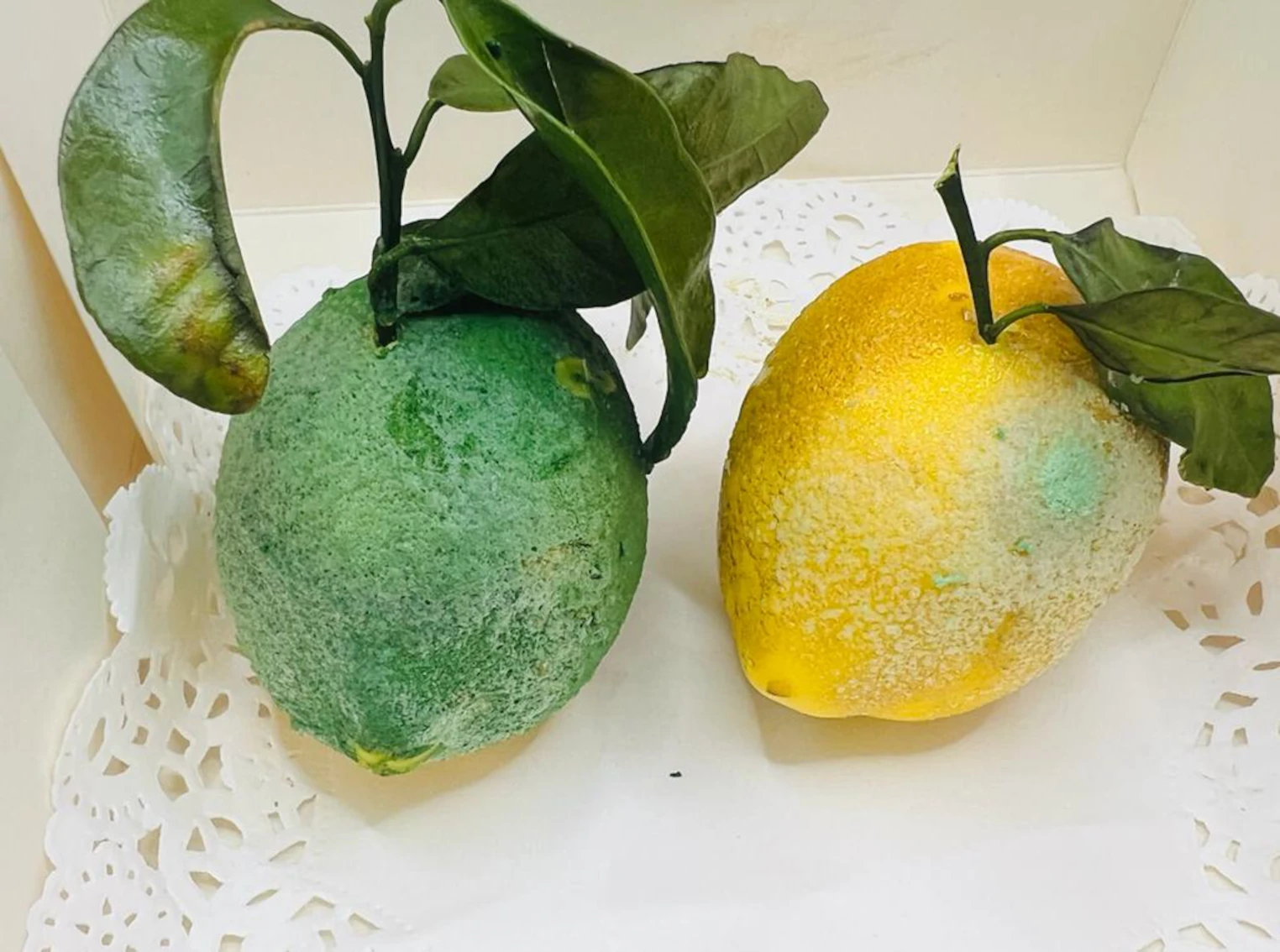 Zitronentarte Augentäuschung