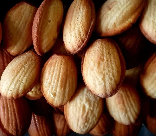 madeleine